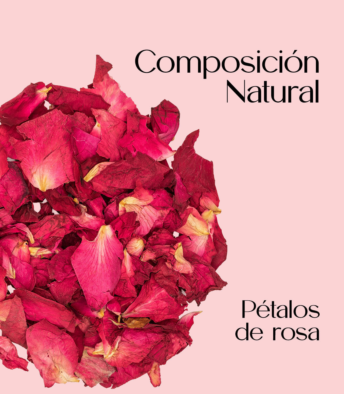 Pétalos de rosa en manos