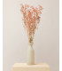 Pink dried gypsophila