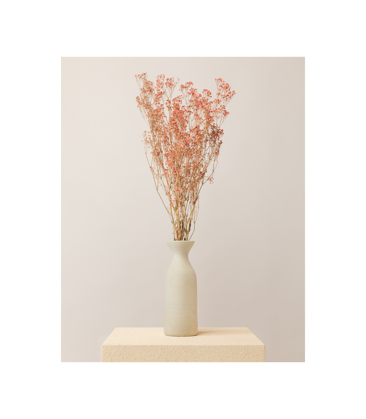Pink dried gypsophila