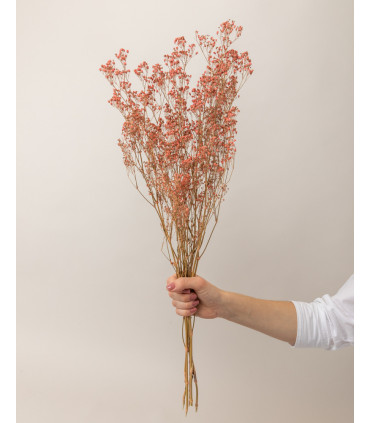 Pink dried gypsophila | Decorative dried flowers
