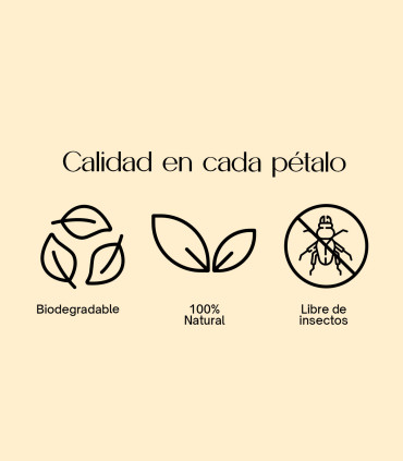 Royal - Confeti biodegradable de pétalos secos | 1L