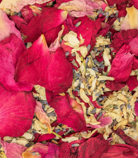 Burgundy forever - Confeti biodegradable de flores secas