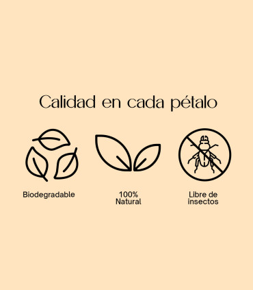 Burgundy Special - Confeti biodegradable de pétalos secos