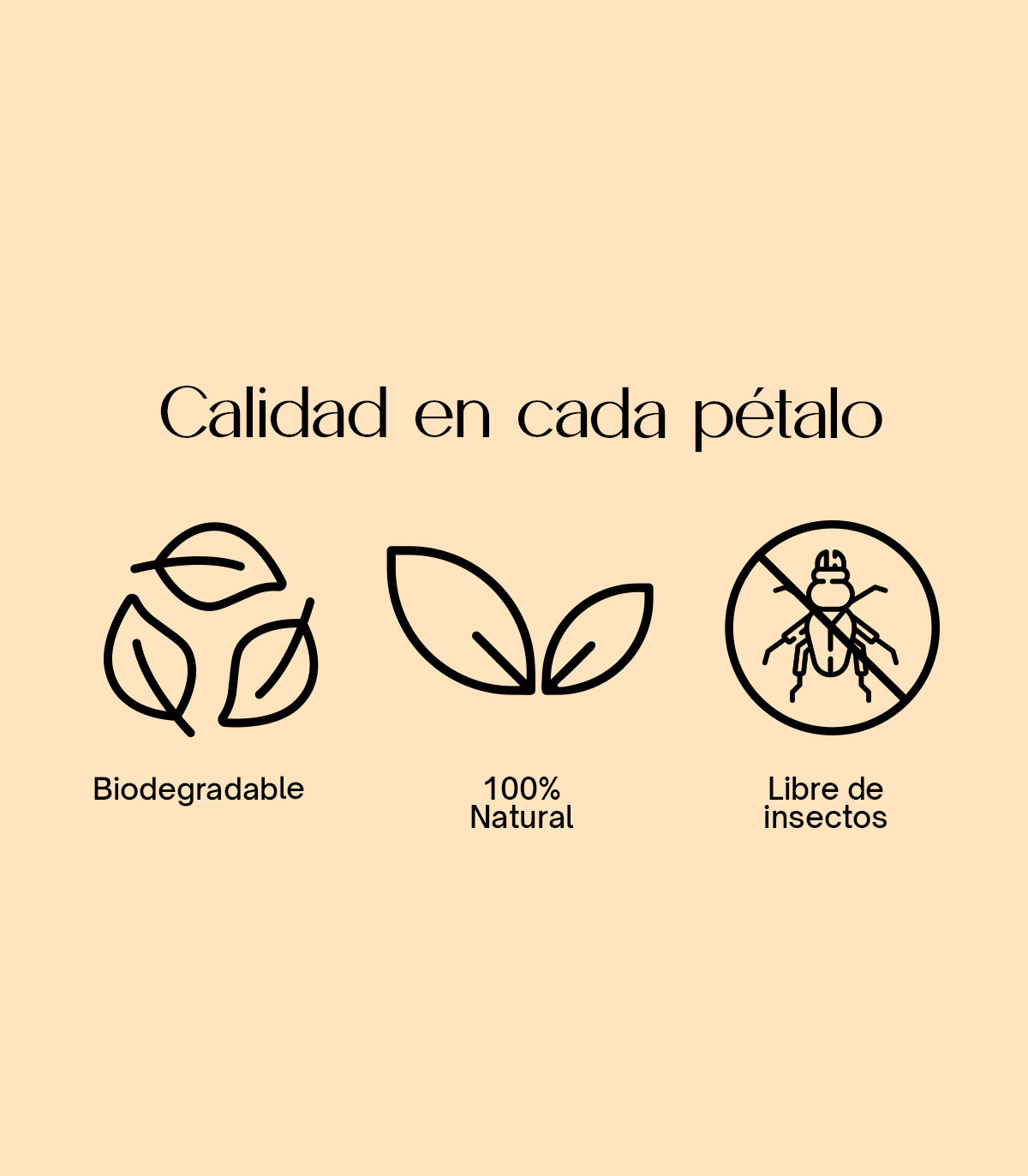 Burgundy Special - Confeti biodegradable de pétalos secos