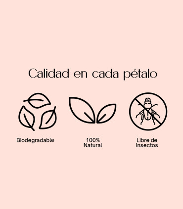 Burgundy Bloom - Biodegradable confetti of dried petals