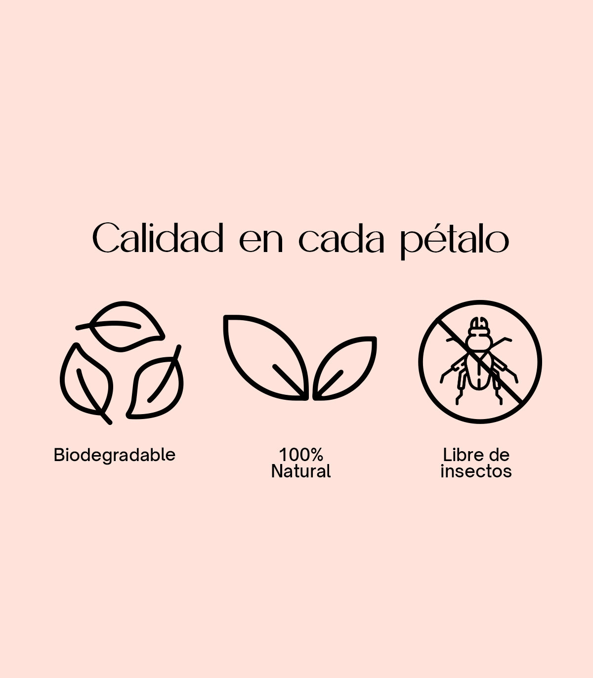 Burgundy Bloom - Biodegradable confetti of dried petals