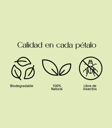 Jasmine - Confeti biodegradable de pétalos secos | 1L