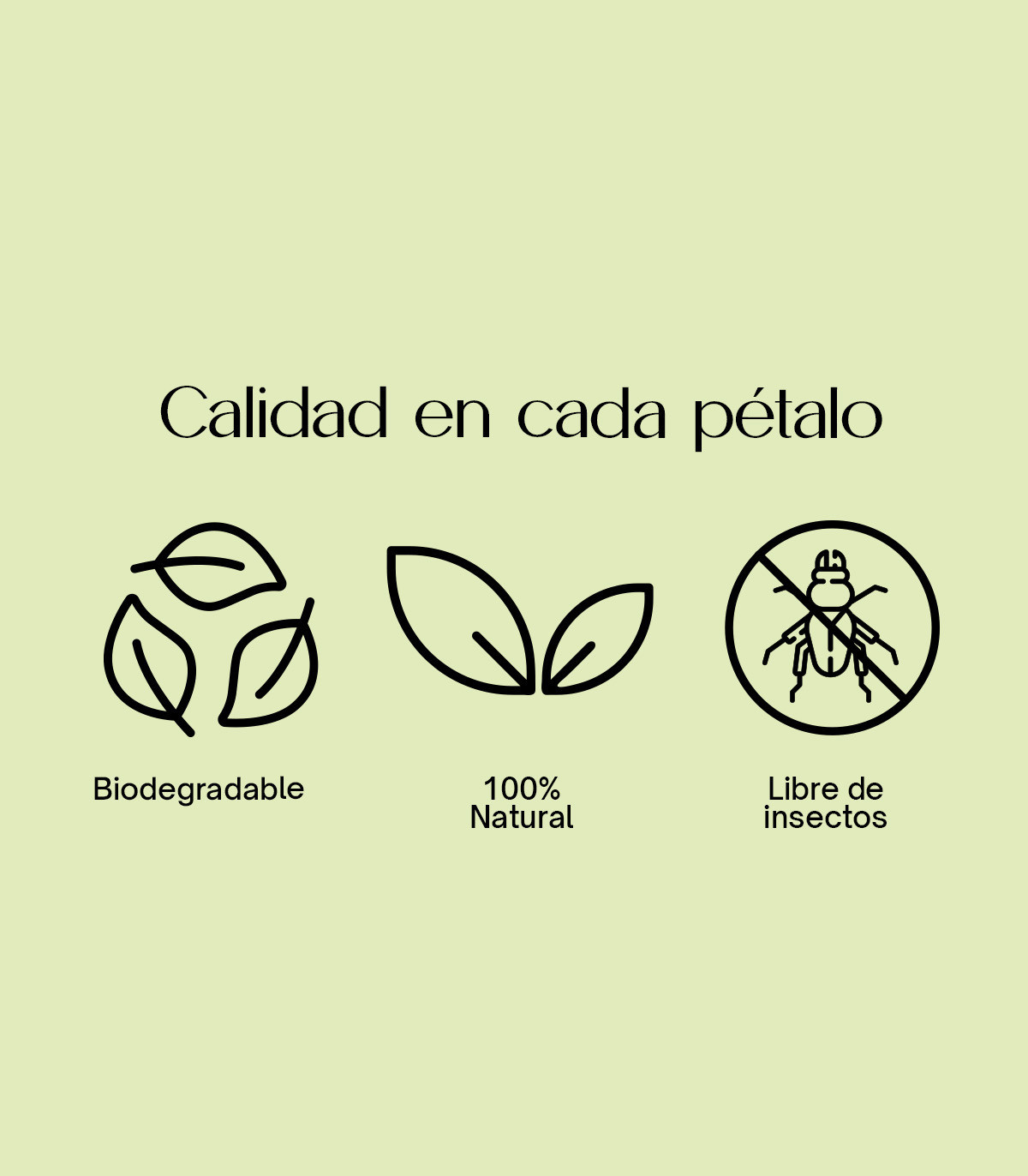 Jasmine - Biodegradable confetti of dried petals | 1L