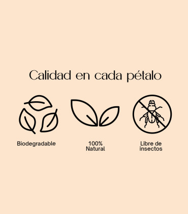 Memorial - Biodegradable confetti of dried petals