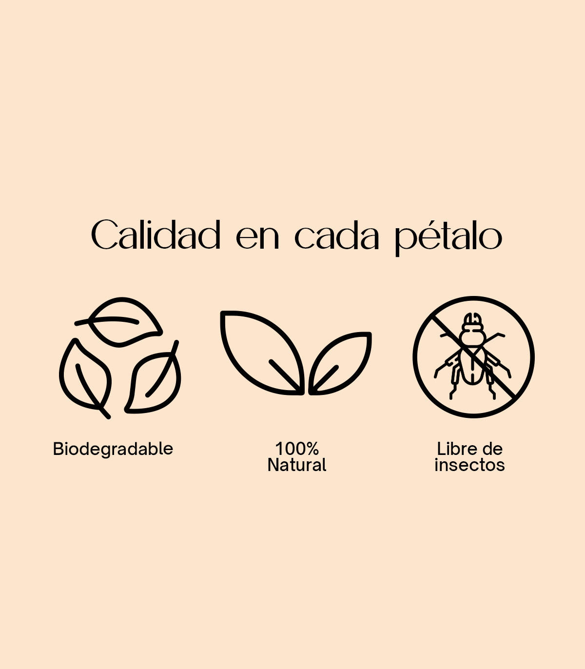 Memorial - Confeti biodegradable de pétalos secos