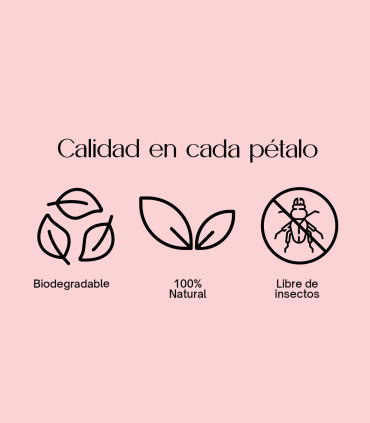 Pétalos de rosas secas naturales | Flor seca para bodas y decoración