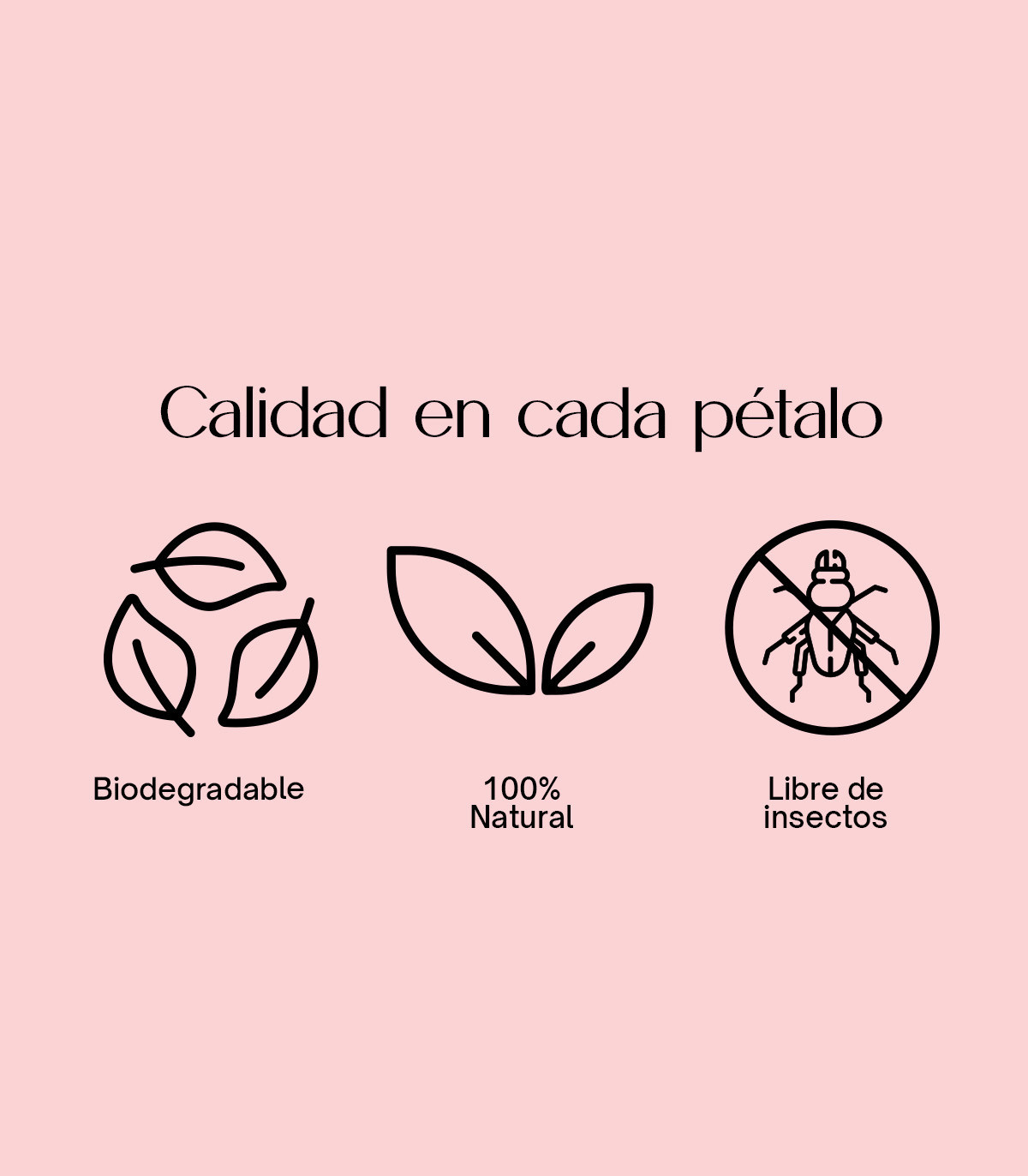 Pétalos de rosas secas naturales | Flor seca para bodas y decoración