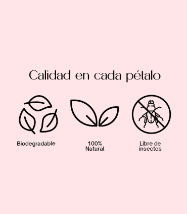 Burgundy Selection - Confeti biodegradable de pétalos secos