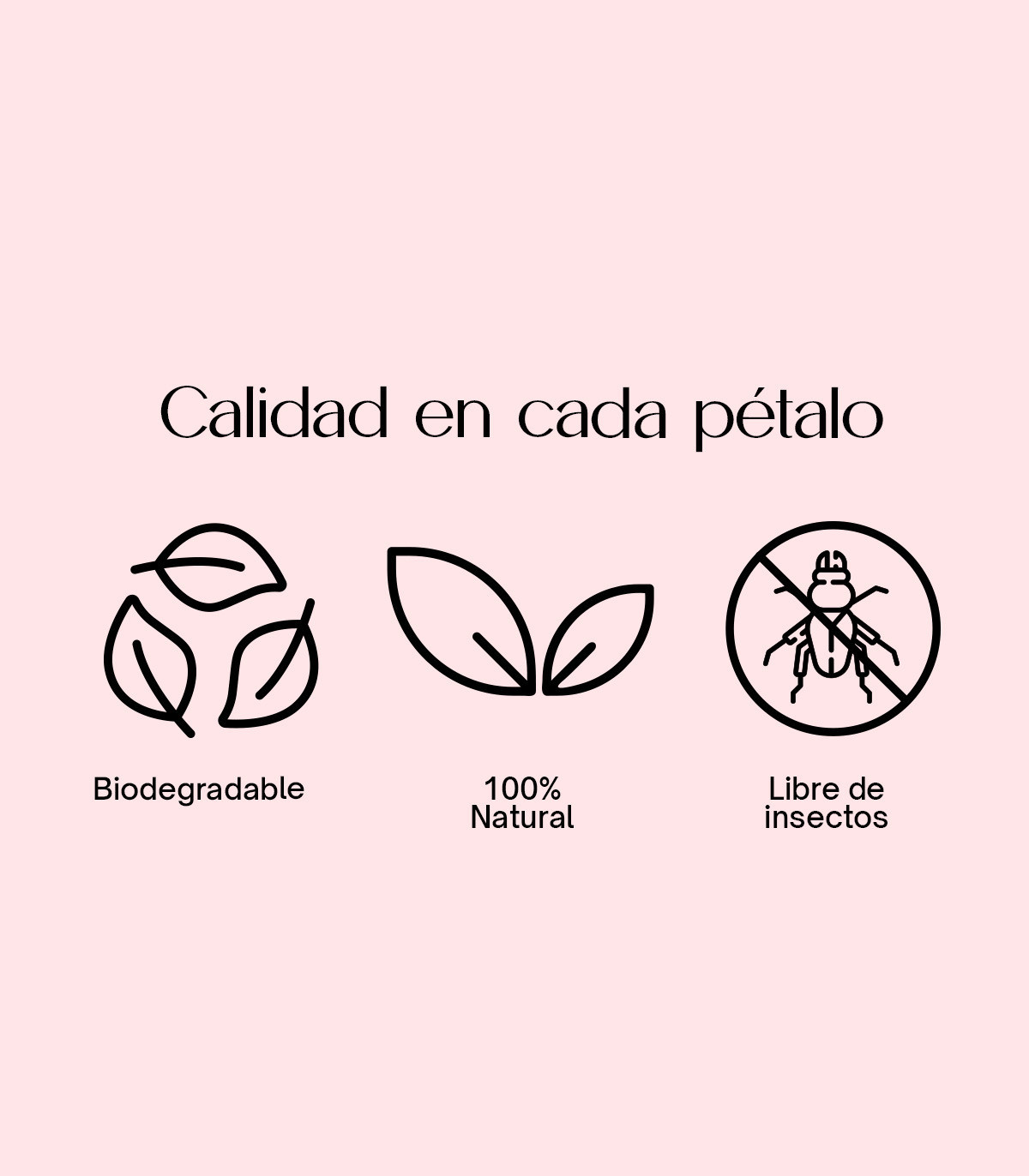 Burgundy Selection - Confeti biodegradable de pétalos secos