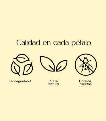 Tuscany - Biodegradable confetti of dried petals