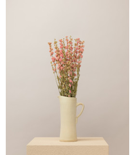 delphinium seco rosa