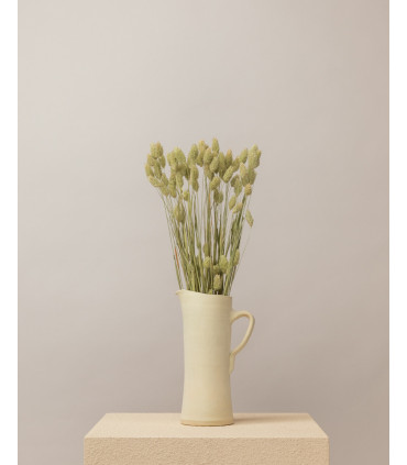 phalaris seco natural mazo