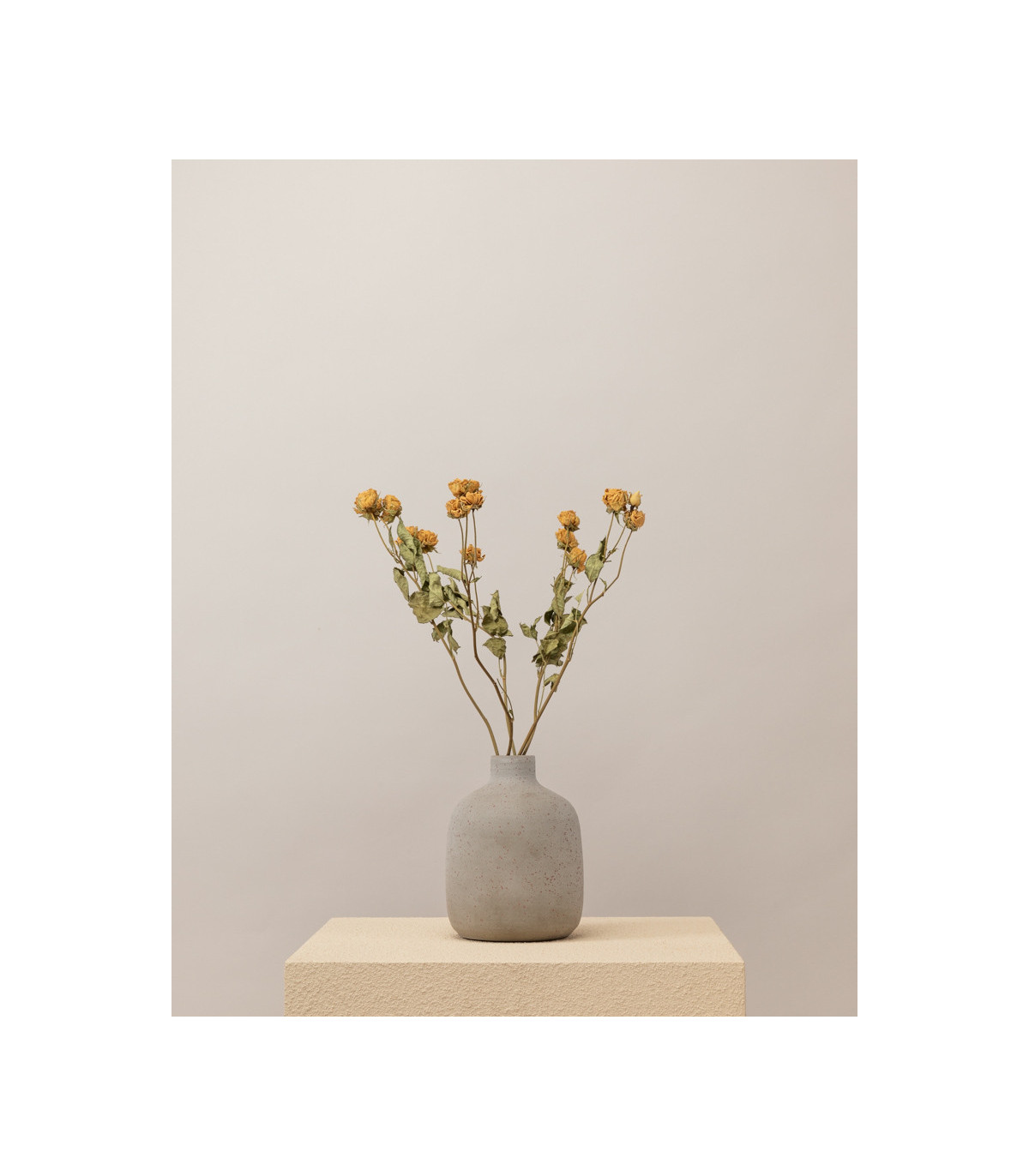 Natural white dried spray roses in a vase