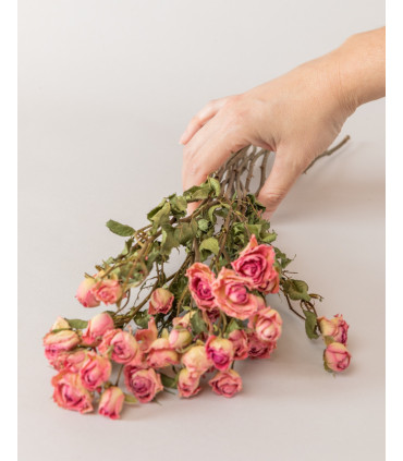 hand with pink dried spray roses bunch
