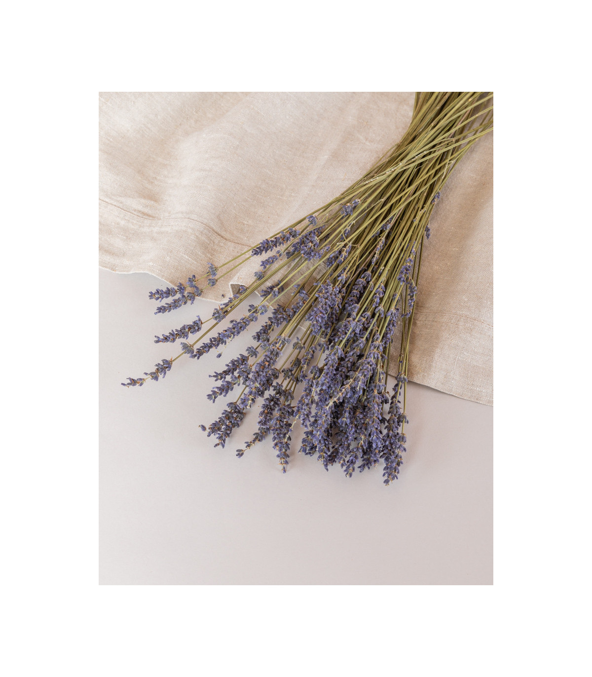 detail dried lavender