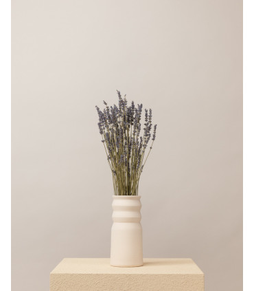 lavender bunch dried