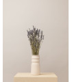 Natural dried lavender