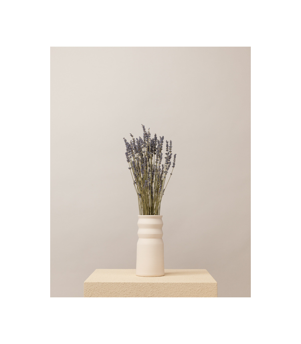 lavender bunch dried