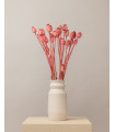 Natural pink dried papaver (bunch)