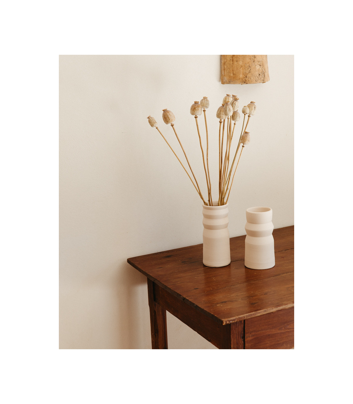 papaver dried natural on table