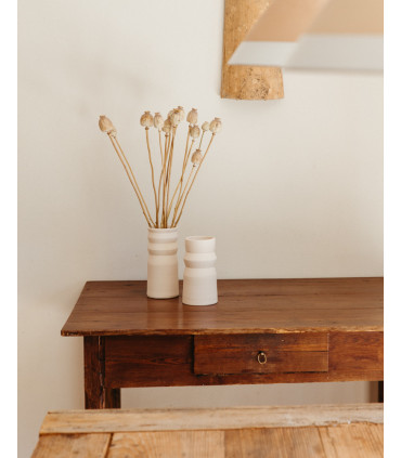 dried natural papaver on a table