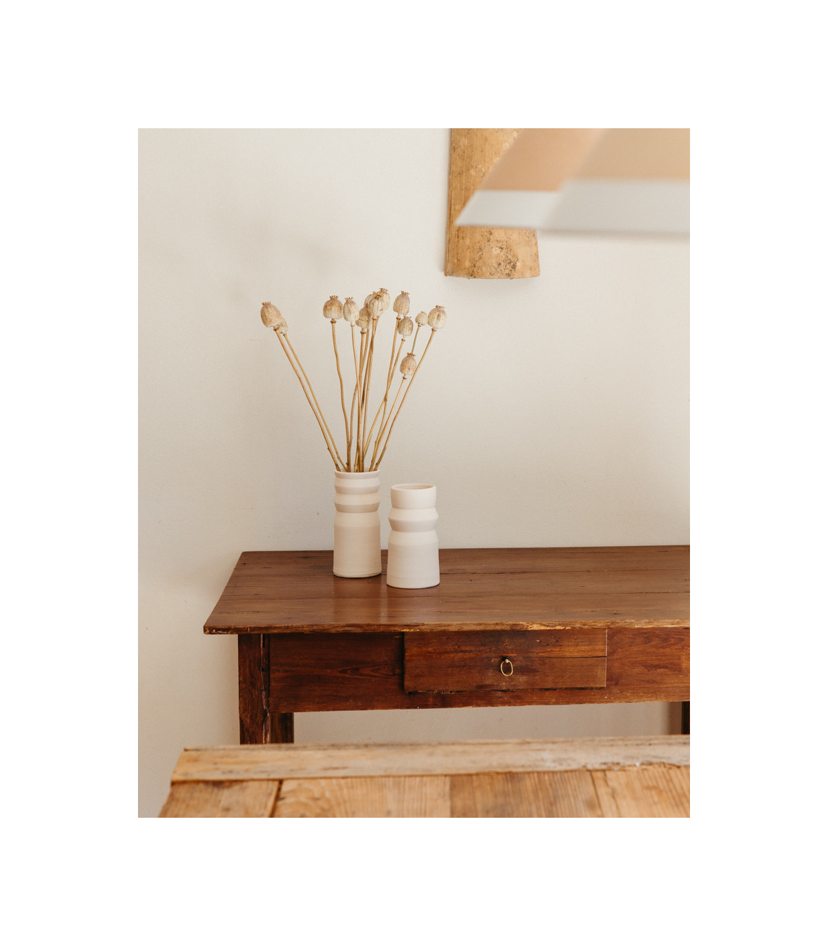 dried natural papaver on a table