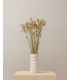Natural dried lagurus | Decorative dried flowers