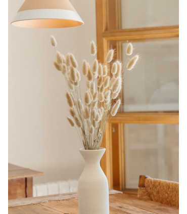 picture of a bunny dried tail