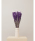 Purple dried oats | Decorative dried flowers