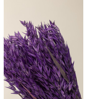Purple dried oats detail