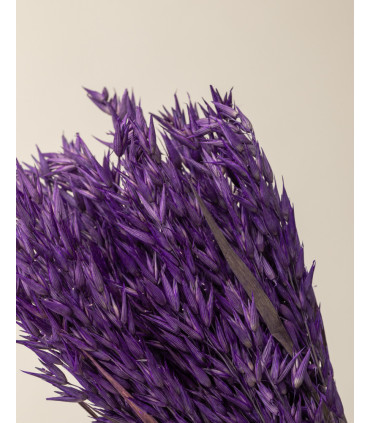 Purple dried oats detail