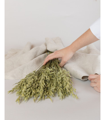 Avena seca natural | Flores secas decorativas