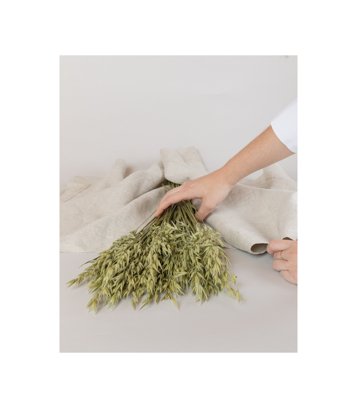 Natural dried oats | Decorative dried flowers