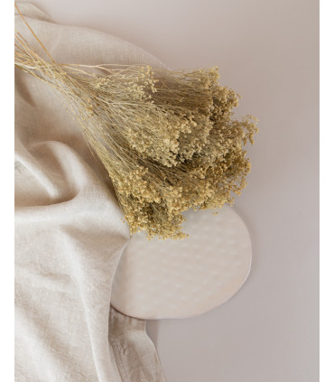 White dried broom bloom on a table