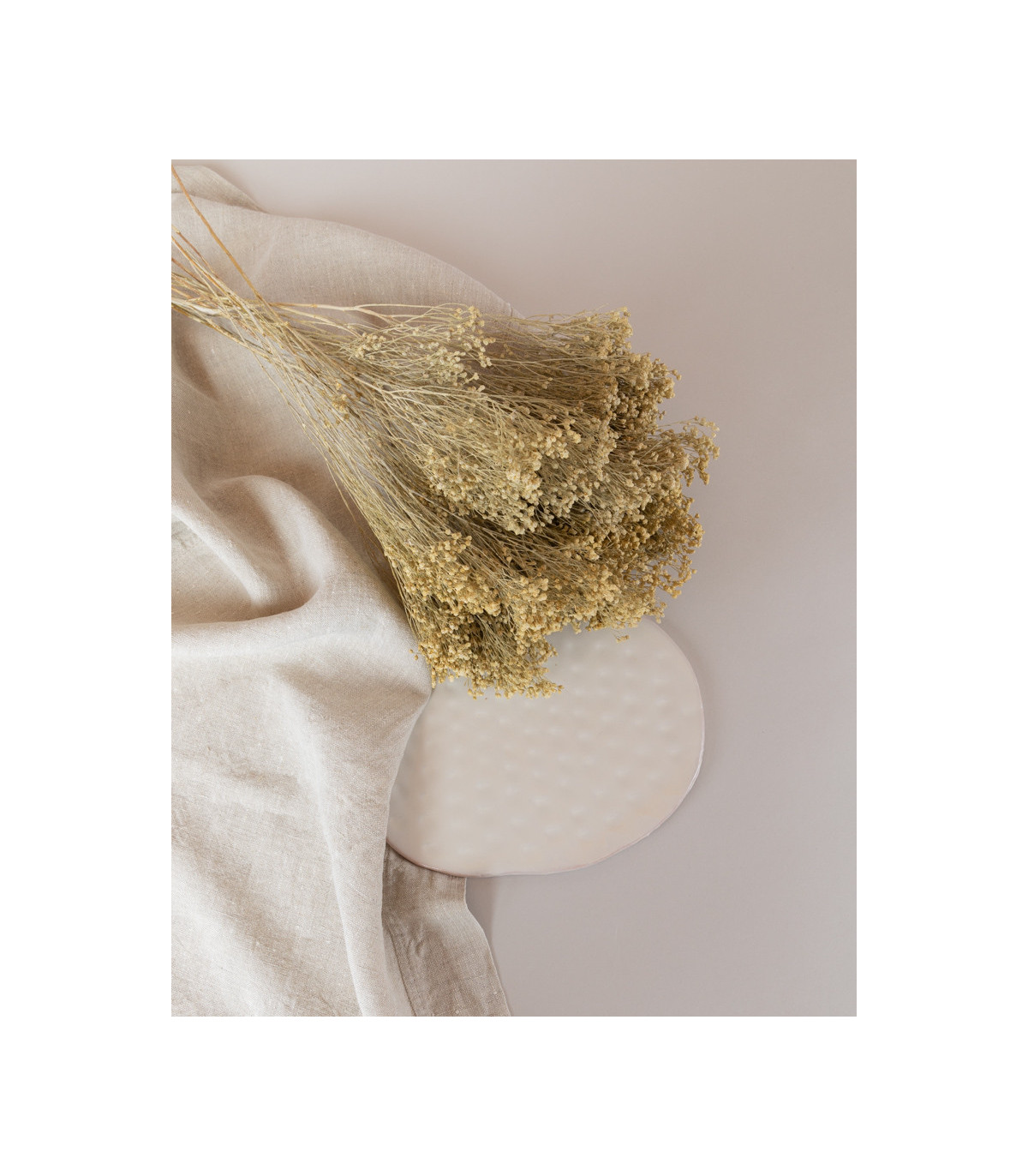 White dried broom bloom on a table